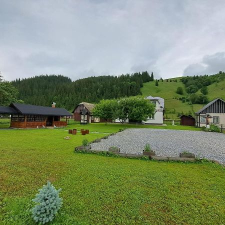 Casa Dumitru Si Elena Ciocanesti Bucovina 외부 사진
