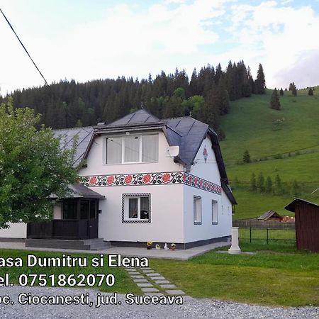 Casa Dumitru Si Elena Ciocanesti Bucovina 객실 사진