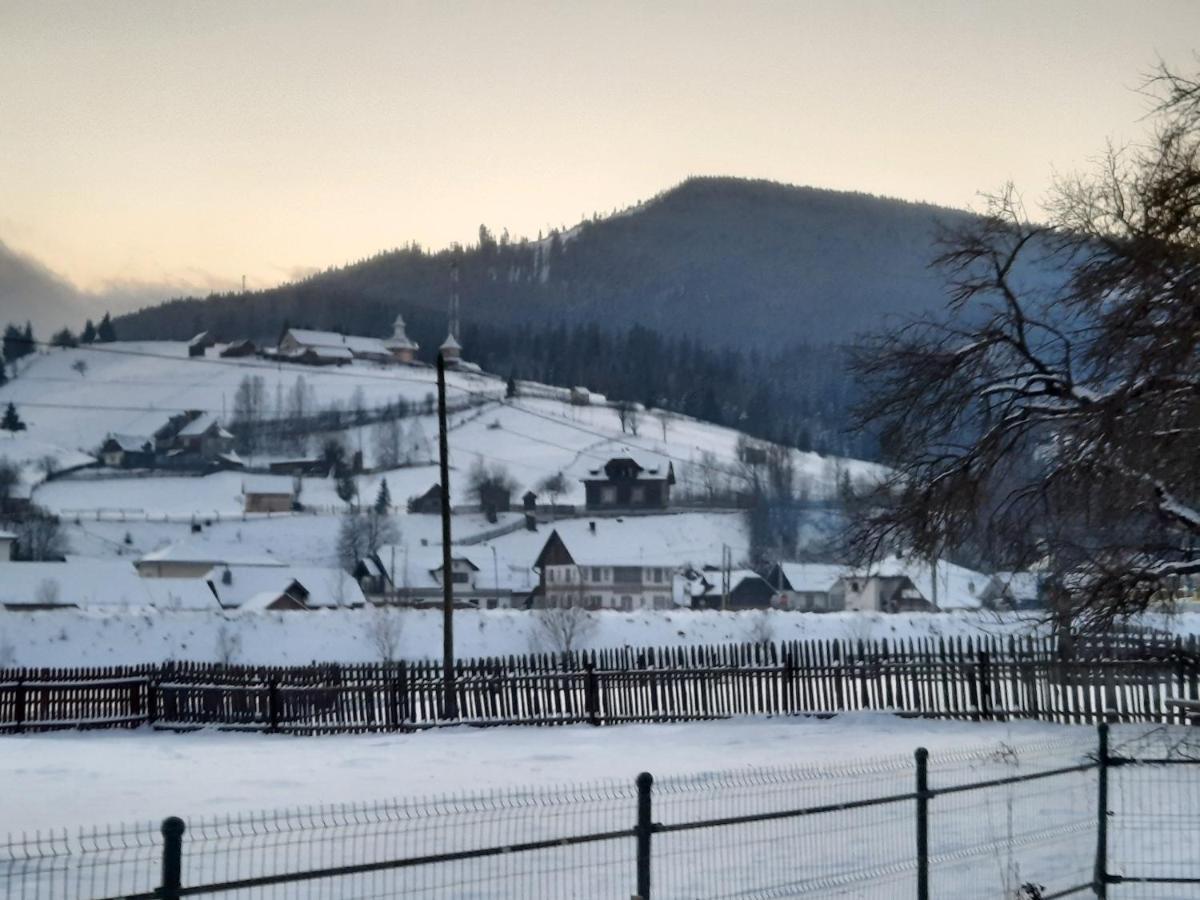 Casa Dumitru Si Elena Ciocanesti Bucovina 외부 사진