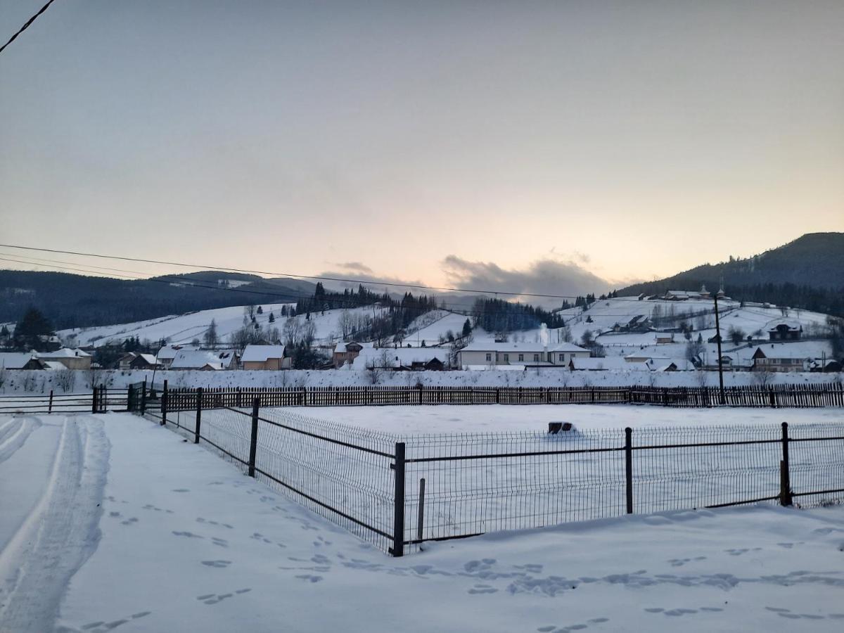 Casa Dumitru Si Elena Ciocanesti Bucovina 외부 사진