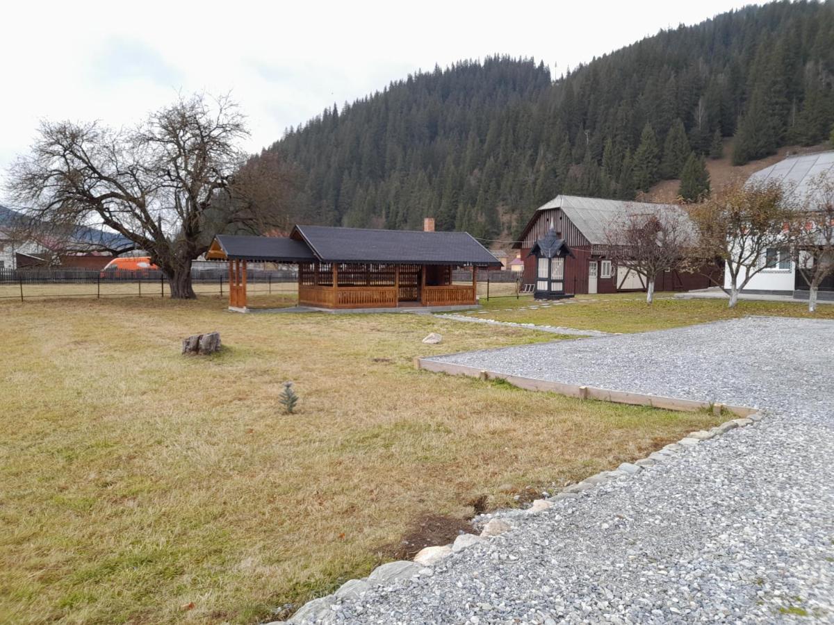 Casa Dumitru Si Elena Ciocanesti Bucovina 외부 사진