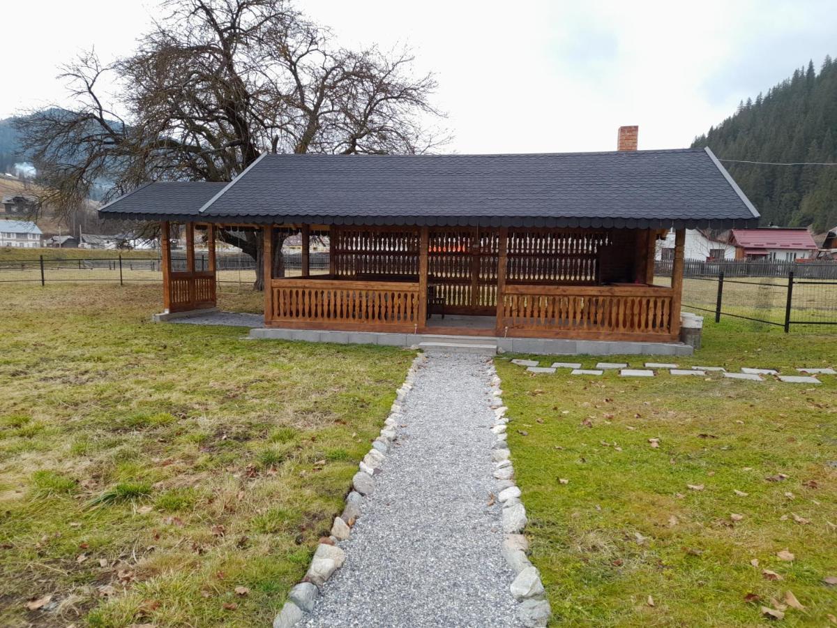 Casa Dumitru Si Elena Ciocanesti Bucovina 외부 사진