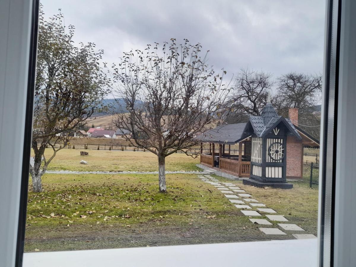 Casa Dumitru Si Elena Ciocanesti Bucovina 외부 사진