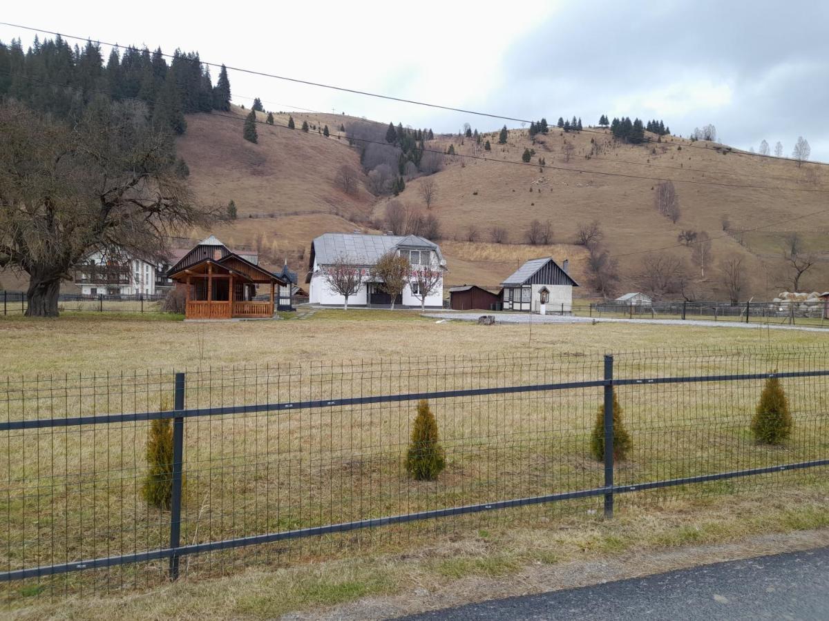Casa Dumitru Si Elena Ciocanesti Bucovina 외부 사진