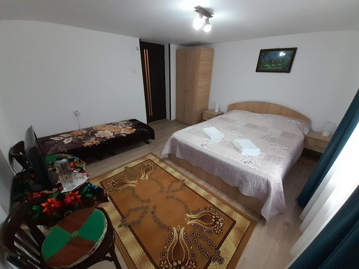 Casa Dumitru Si Elena Ciocanesti Bucovina 외부 사진