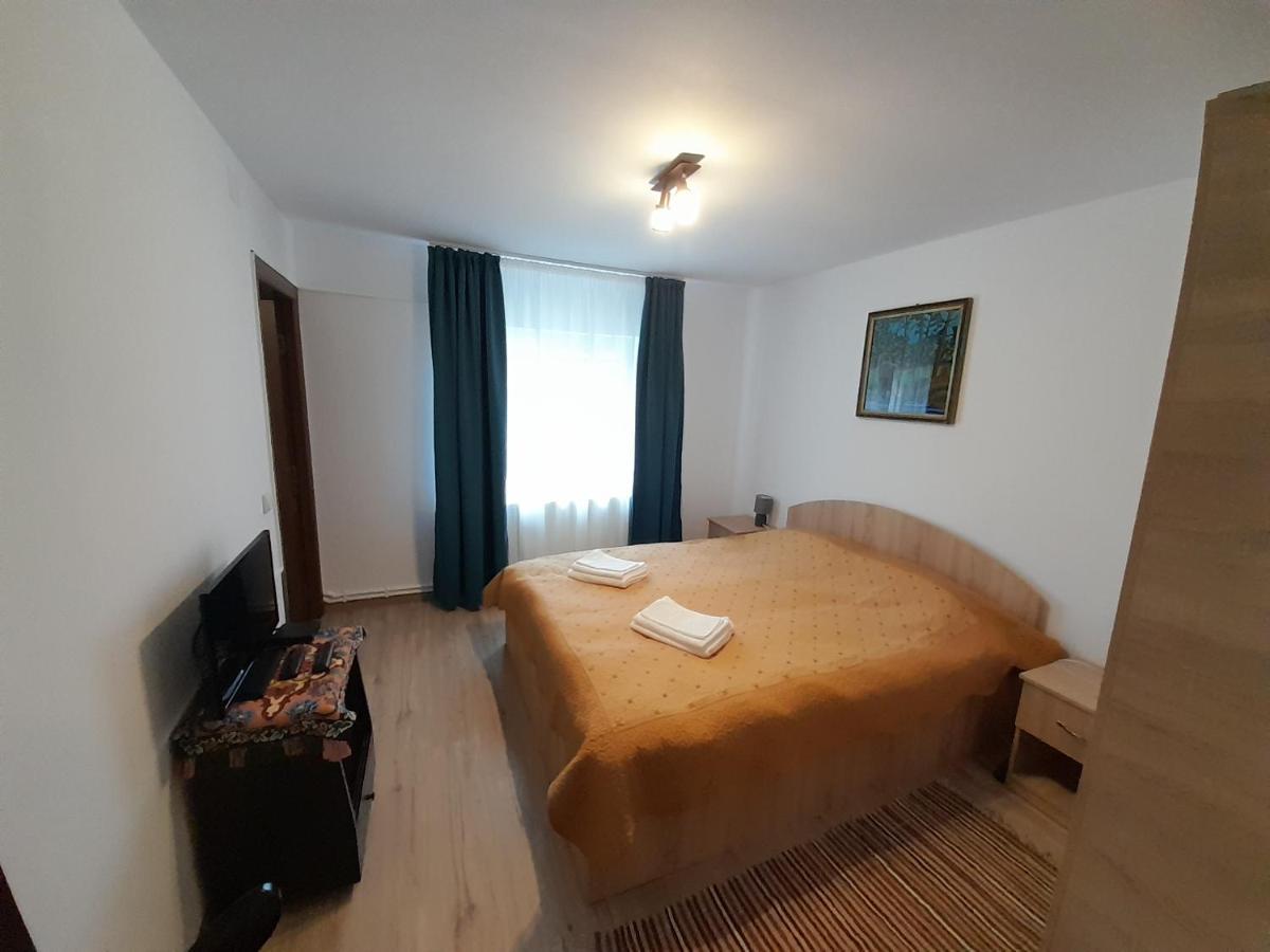 Casa Dumitru Si Elena Ciocanesti Bucovina 외부 사진