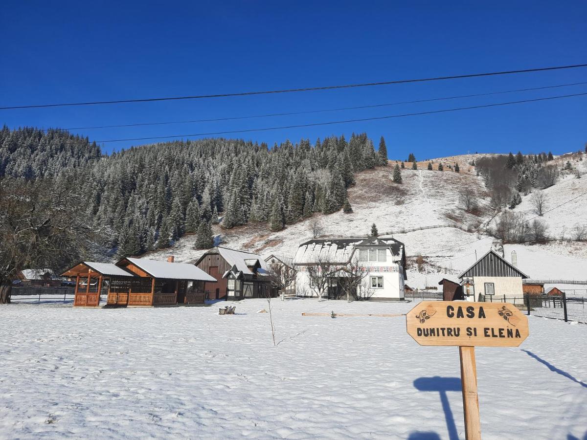 Casa Dumitru Si Elena Ciocanesti Bucovina 외부 사진