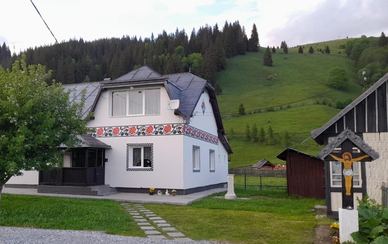 Casa Dumitru Si Elena Ciocanesti Bucovina 외부 사진