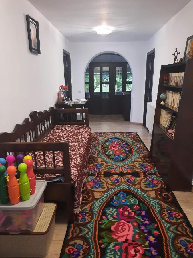 Casa Dumitru Si Elena Ciocanesti Bucovina 외부 사진