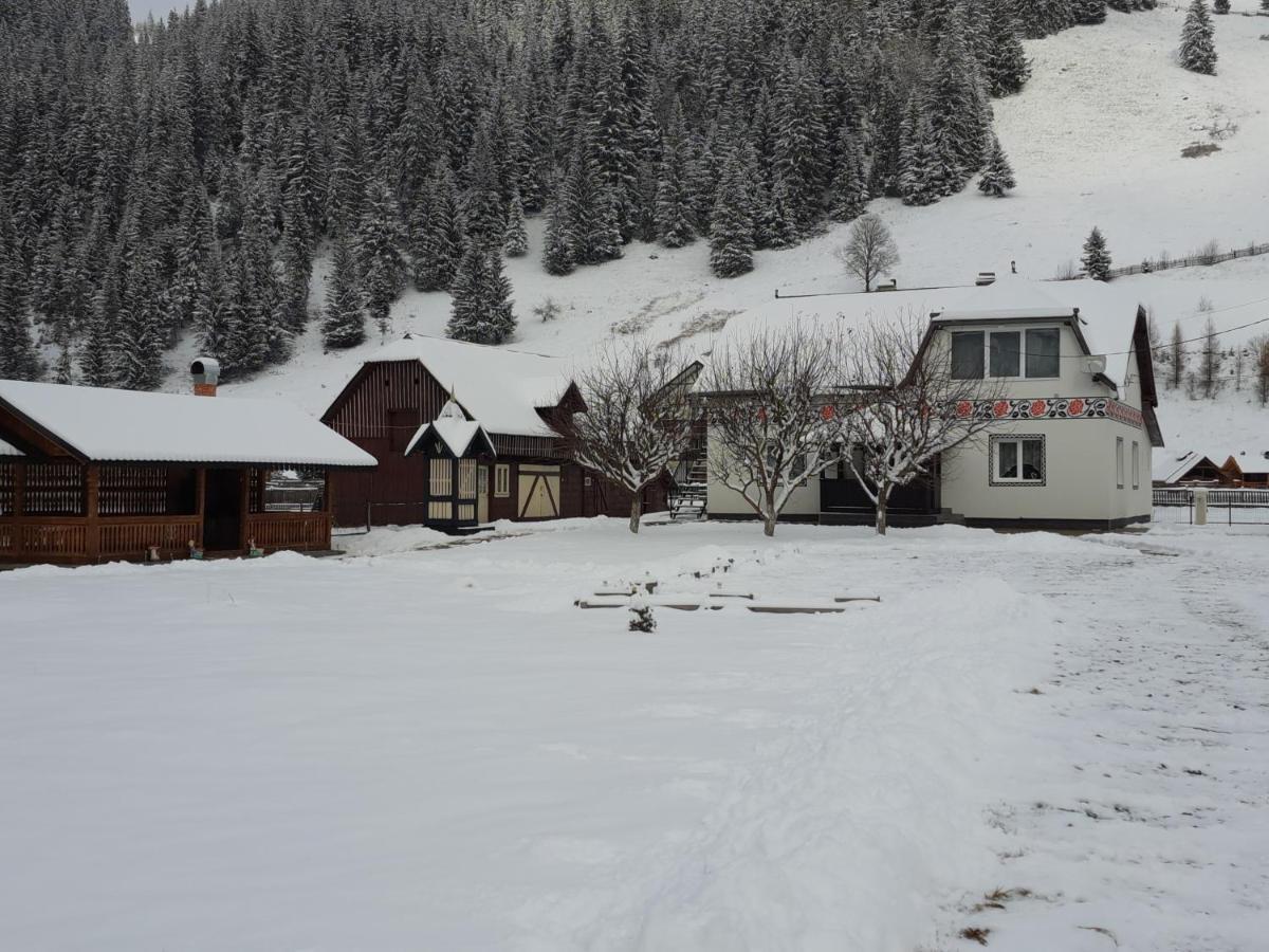 Casa Dumitru Si Elena Ciocanesti Bucovina 외부 사진